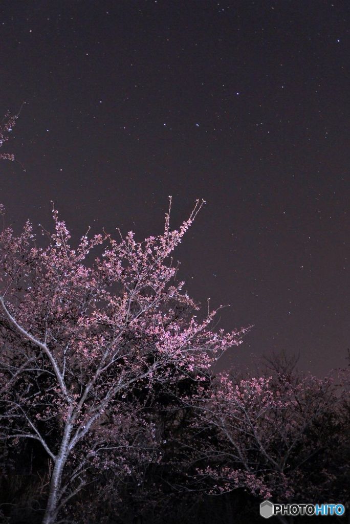 写真にハマったきっかけ