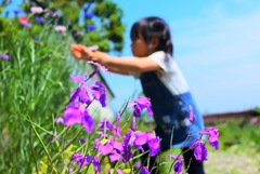 華に手を伸ばす少女