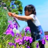華に手を伸ばす少女