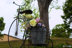 花の自転車