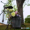 花の自転車