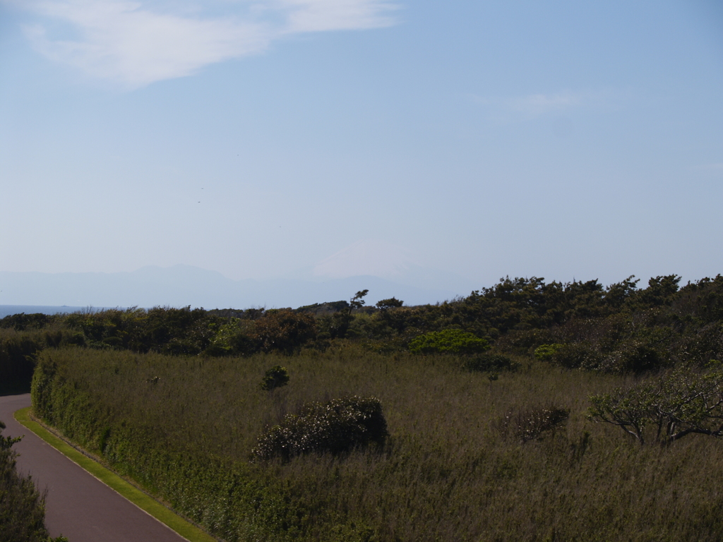 城ヶ島公園