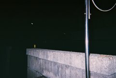 夜