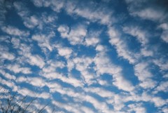 空