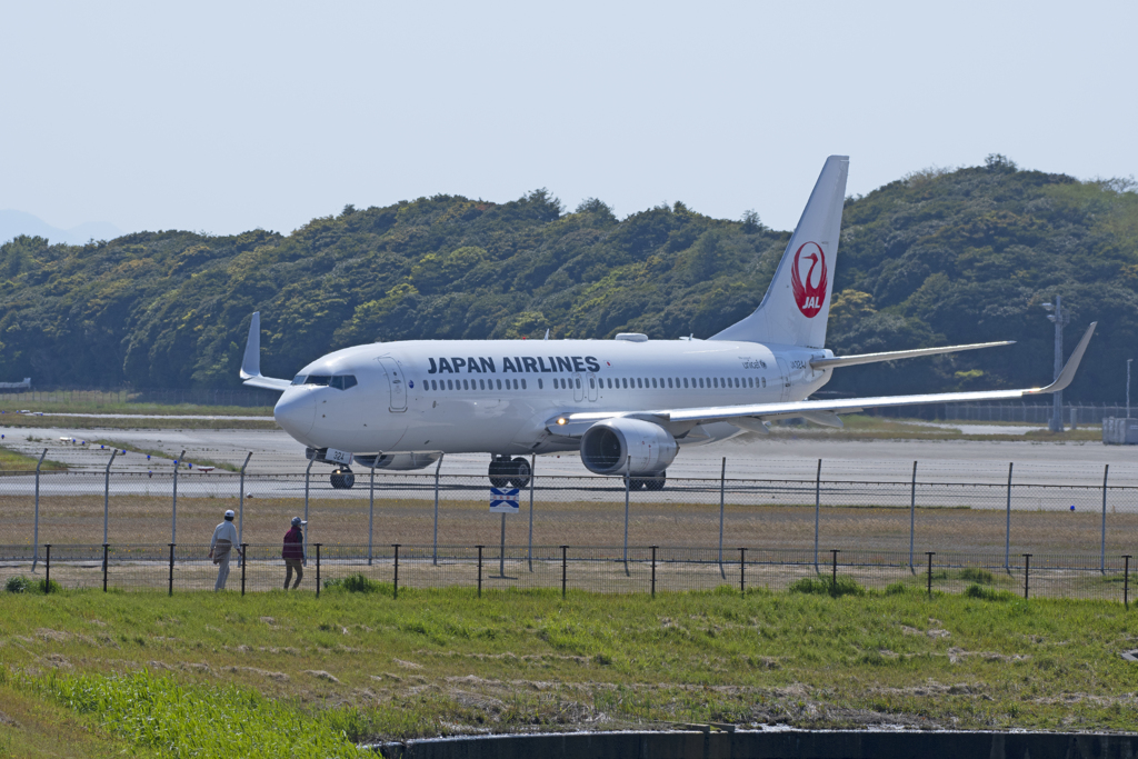 JAL③