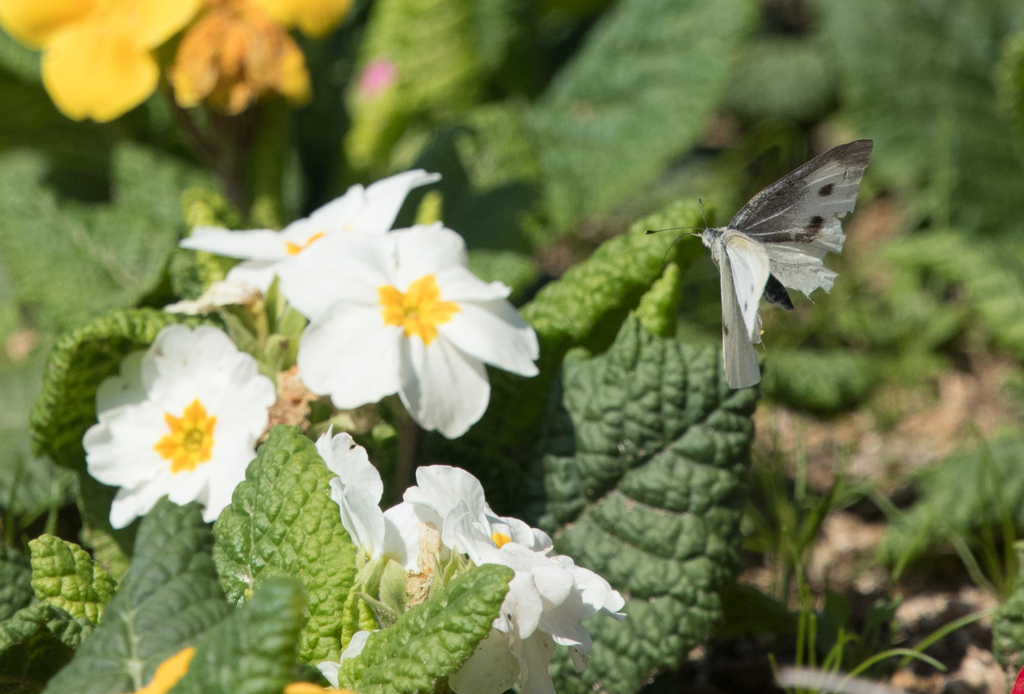 色々、目移り中…
