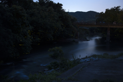 ホタル⑤ 比較明合成(4枚)