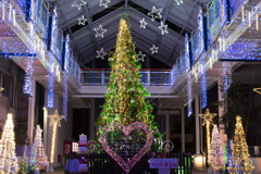 山口県宇部市　サンタクロスロード2019⑦