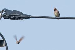 そんなに急いで何処行くの？