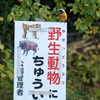 ボクもモノの数に入ってるの？