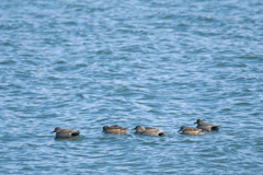 みんな、行くぞー