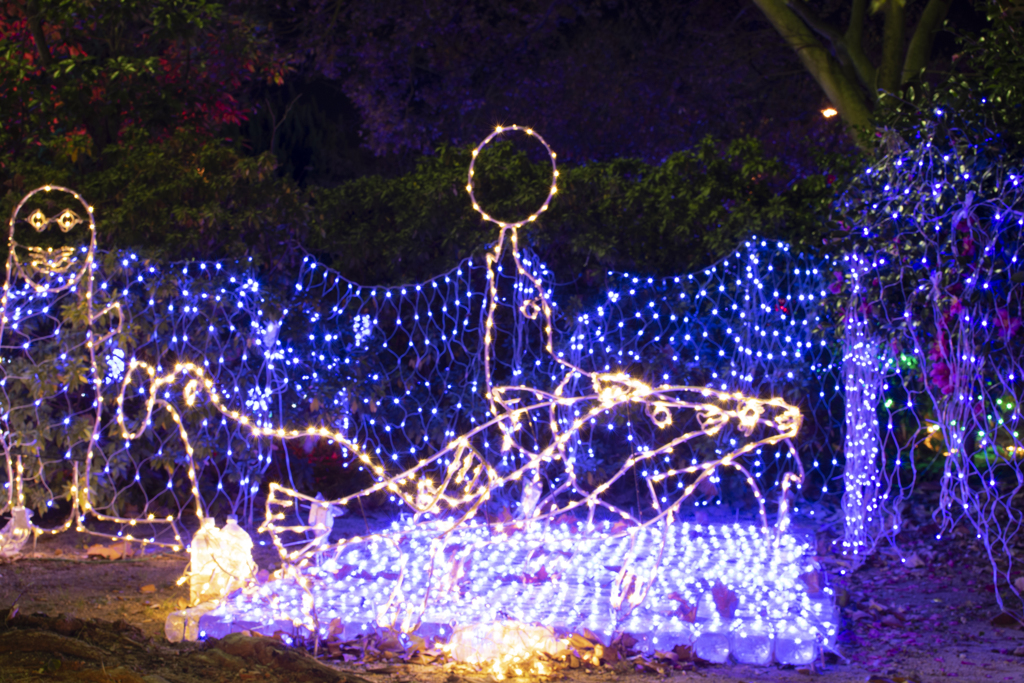 山口県宇部市 チャイルドドリーム②