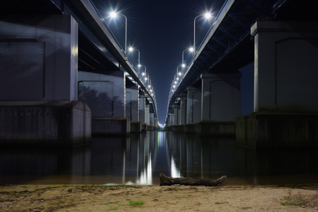 流木