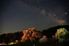 又兵衛桜と天の川