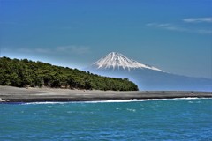 三保の松原