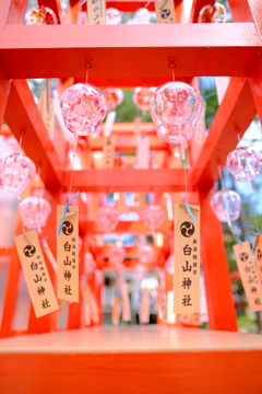 白山神社 開運七夕まつり