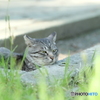 ウトウト
