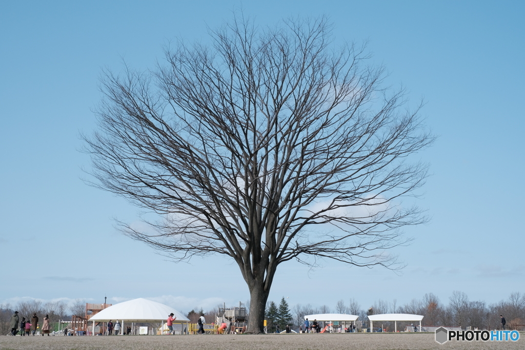 クラシッククロームの空の色
