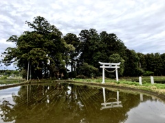 水に浮かぶ神社