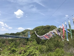 茨城、竜神峡の鯉のぼり（その3）