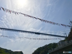 五月晴れの空を泳ぐ鯉のぼり