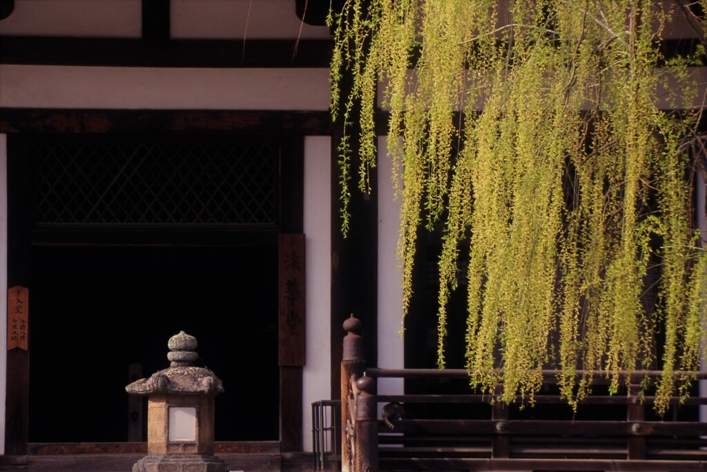 東大寺法華堂（三月堂）