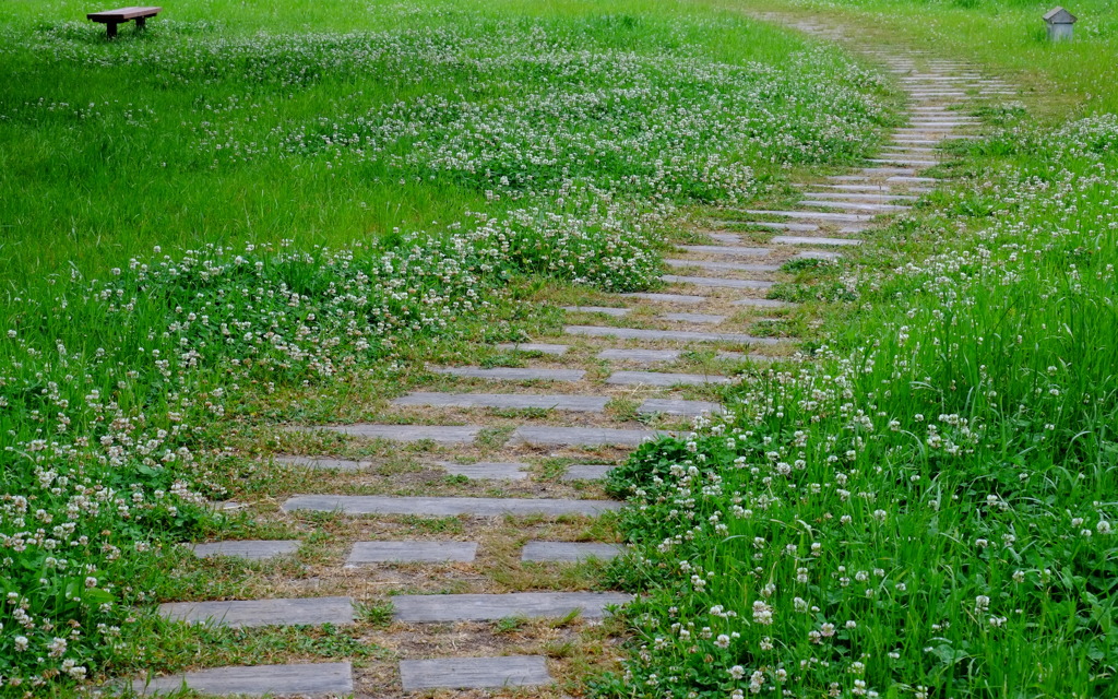 散歩道