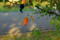 季節は走り行く