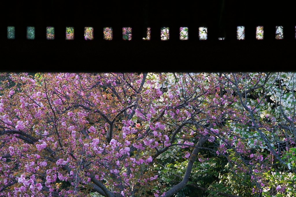 齣送