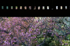 齣送