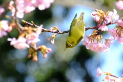 狙いすまし