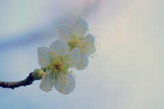 元気になろうね