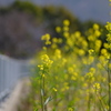 公園の外側