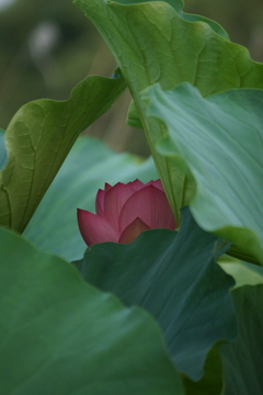 もう出ておいで・・