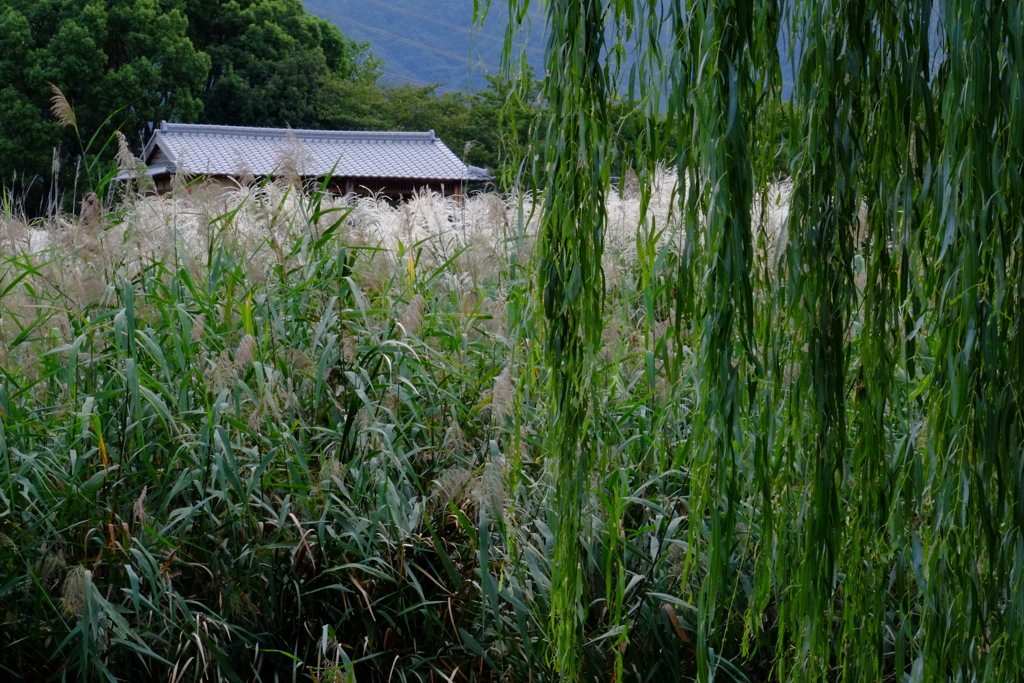 あそこへ行きたい