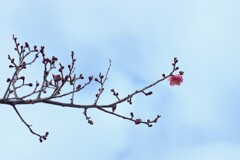 広い空に私だけ！