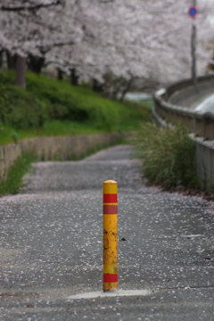 さくらGate