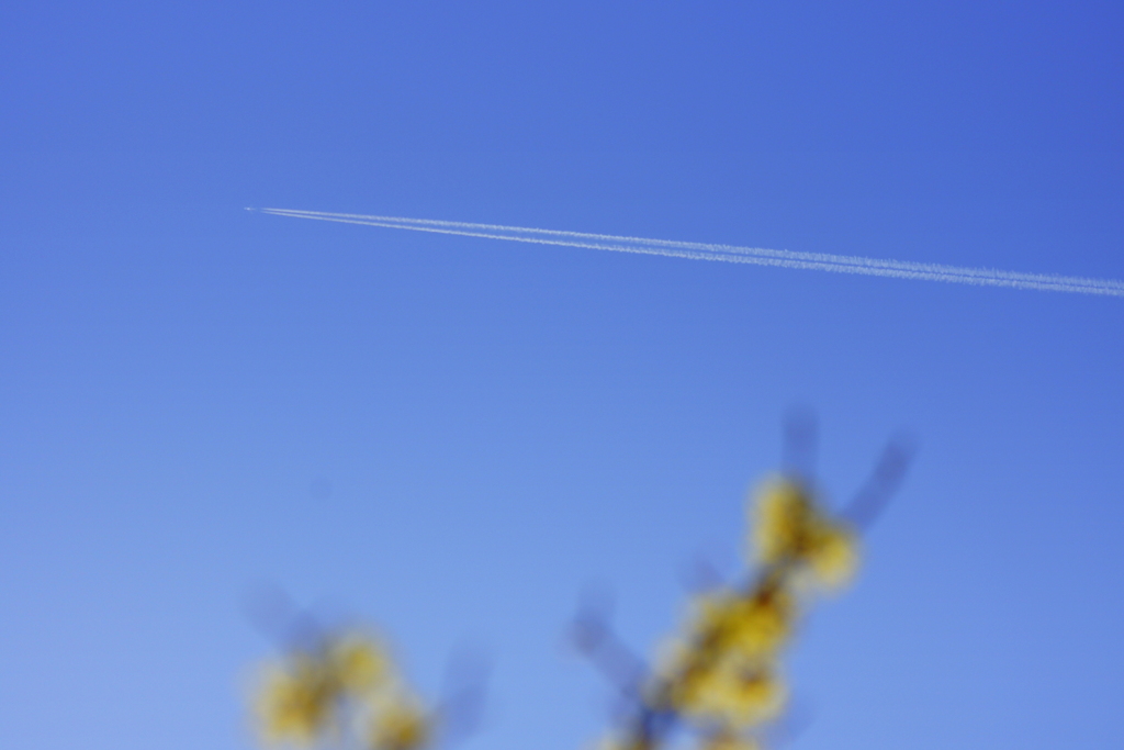春空に白線