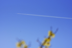 春空に白線
