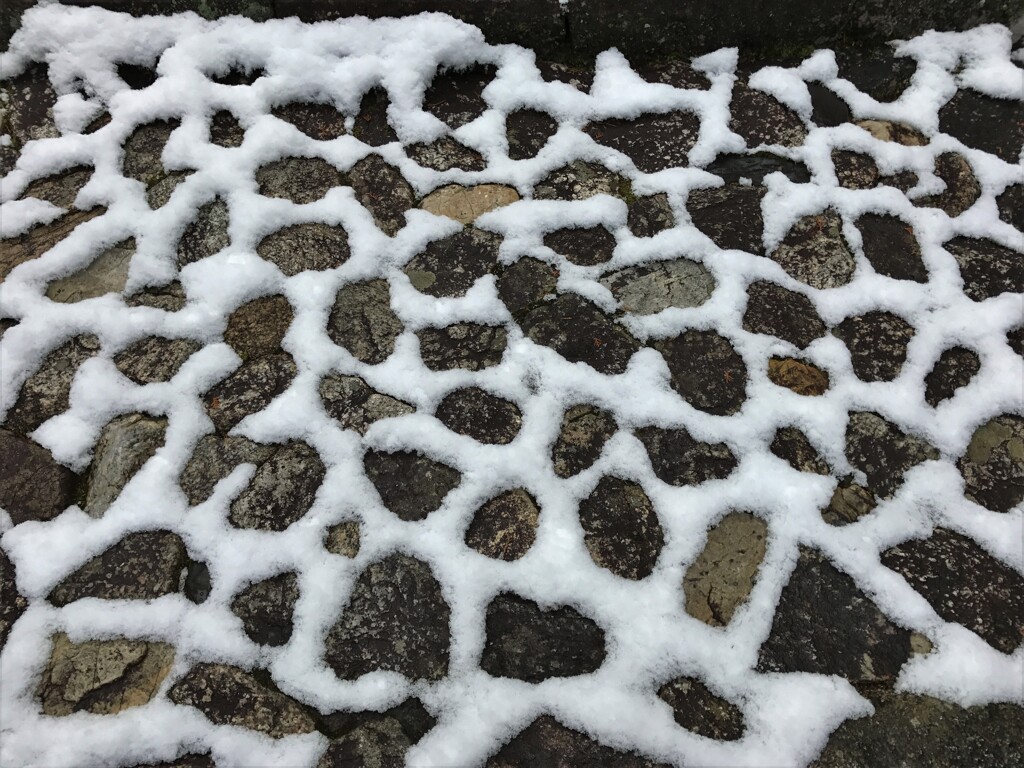 めろんみたいな・・・