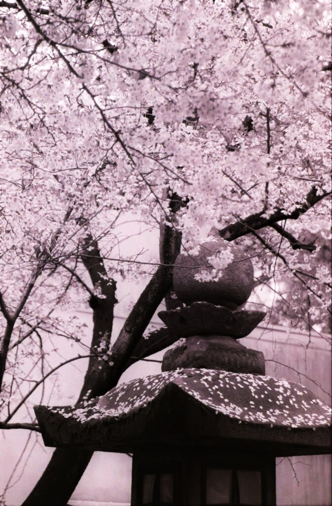高津宮６