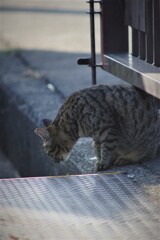 なに見てるの？