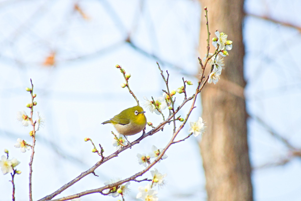 この季節がやってきた。