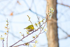 この季節がやってきた。