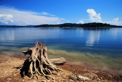 山奥の湖 夏景色