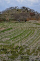 これからの風景を想像するに