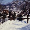 ようやく晴れた