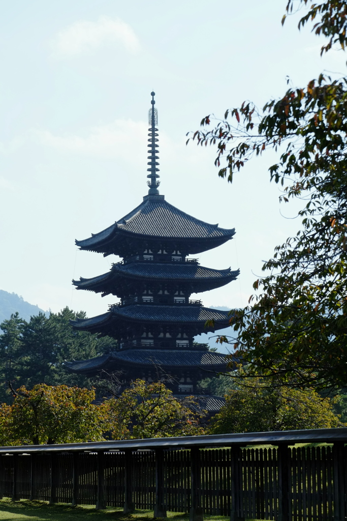 興福寺 五重塔