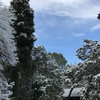 ちょびっとご褒美