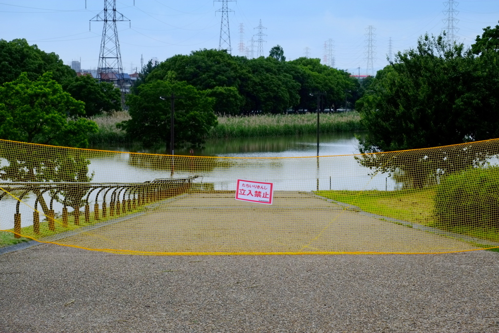 水没